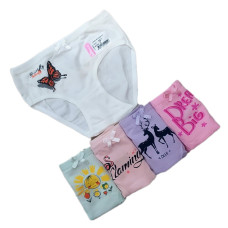 Комплект трусиков для девочки Biyo Kids 5шт 1827