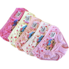 Комплект трусиков для девочки Biyo Kids 5шт 1593